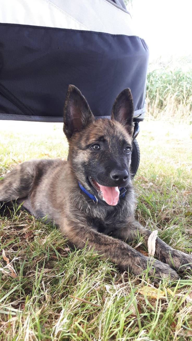 Amy Benthe of the Brave Brindles